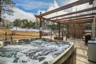 230 Wild Duck Ln, Monument, CO 80132 - Photo 43