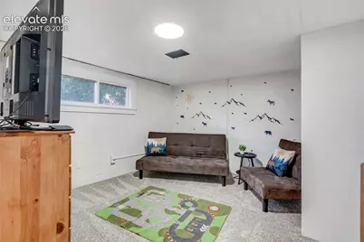 9955 Mesa Road, Cascade, CO 80809 - Photo 39