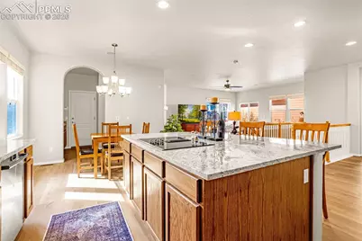 1381 Cresson Mine Drive, Colorado Springs, CO 80905 - Photo 9