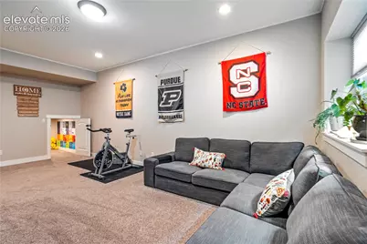 843 Redemption Point, Colorado Springs, CO 80905 - Photo 39