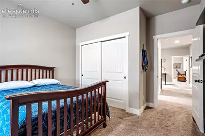 843 Redemption Point, Colorado Springs, CO 80905 - Photo 33