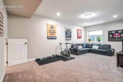 843 Redemption Point, Colorado Springs, CO 80905 - Photo 37