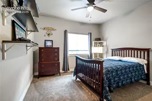 843 Redemption Point, Colorado Springs, CO 80905 - Photo 33
