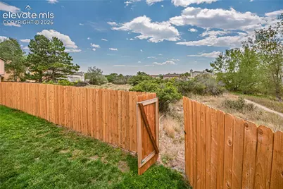 2455 Sweet Water Court, Colorado Springs, CO 80919 - Photo 25