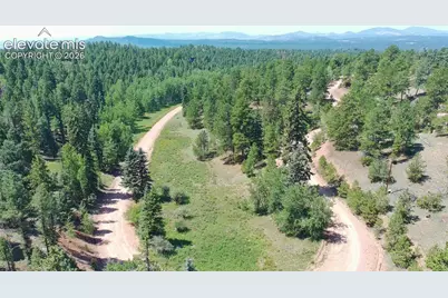 835 Spring Valley Lane, Florissant, CO 80816 - Photo 11