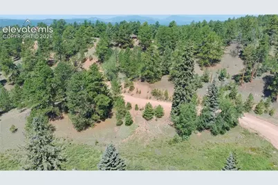 835 Spring Valley Lane, Florissant, CO 80816 - Photo 3