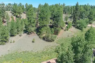 835 Spring Valley Ln, Florissant, CO 80816 - Photo 1