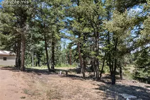 1054 Cantiberry Rd, Divide, CO 80814 - Photo 23