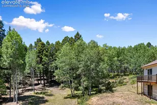 1054 Cantiberry Rd, Divide, CO 80814 - Photo 7