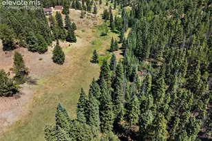 1054 Cantiberry Rd, Divide, CO 80814 - Photo 15