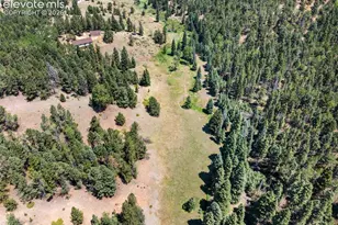 1054 Cantiberry Rd, Divide, CO 80814 - Photo 17