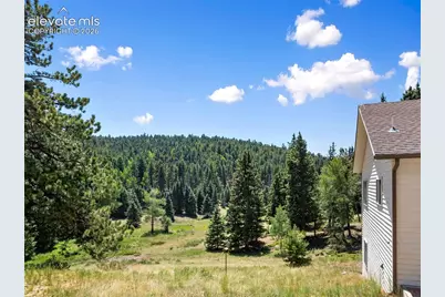 1054 Cantiberry Road, Divide, CO 80814 - Photo 5