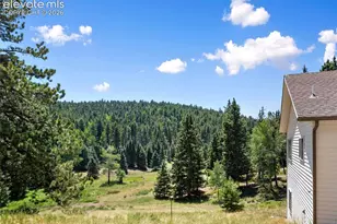 1054 Cantiberry Rd, Divide, CO 80814 - Photo 5