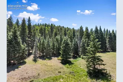 1054 Cantiberry Road, Divide, CO 80814 - Photo 9
