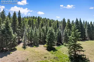 1054 Cantiberry Rd, Divide, CO 80814 - Photo 9