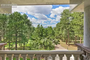 17075 Viscount Ct, Monument, CO 80132 - Photo 31