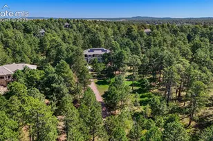 17075 Viscount Ct, Monument, CO 80132 - Photo 49