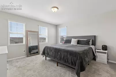 2583 Gobi Drive, Colorado Springs, CO 80939 - Photo 23
