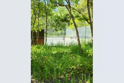 141 Virginia Avenue, Palmer Lake, CO 80133 - Photo 9