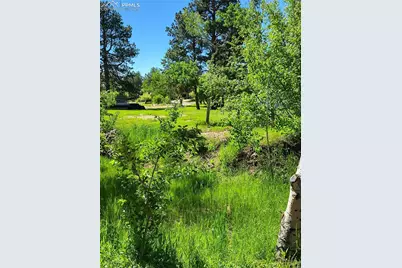 141 Virginia Avenue, Palmer Lake, CO 80133 - Photo 5