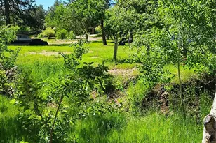 141 Virginia Ave, Palmer Lake, CO 80133 - Photo 5