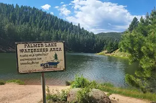 141 Virginia Ave, Palmer Lake, CO 80133 - Photo 15