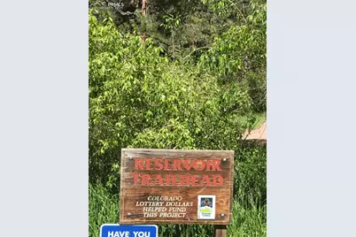 141 Virginia Avenue, Palmer Lake, CO 80133 - Photo 13