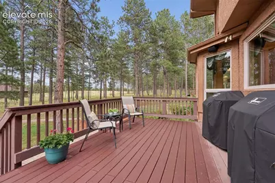 14953 Snowy Pine Point, Colorado Springs, CO 80908 - Photo 9