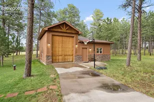 14953 Snowy Pine Point, Colorado Springs, CO 80908 - Photo 39