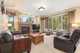 14953 Snowy Pine Point, Colorado Springs, CO 80908 - Photo 21