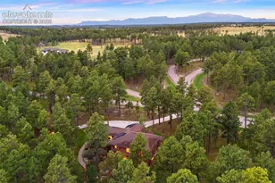 14953 Snowy Pine Point, Colorado Springs, CO 80908 - Photo 45