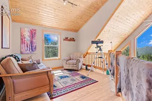 598 Dandy Jim Dr, Cripple Creek, CO 80813 - Photo 19