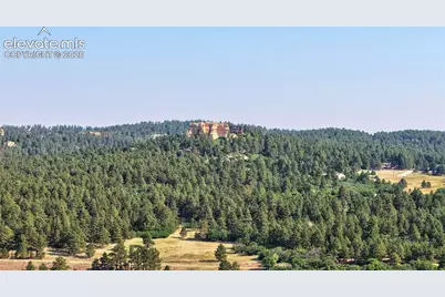 746 Westward Lane, Palmer Lake, CO 80133 - Photo 39