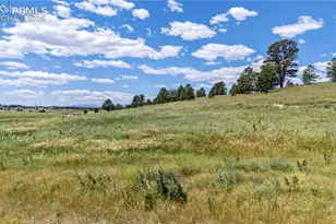 10906 Alamar Wy, Colorado Springs, CO 80908 - Photo 1