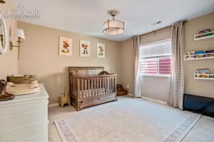 7594 Stetson Highlands Dr, Colorado Springs, CO 80923 - Photo 37