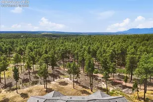 3145 Promise Pt, Colorado Springs, CO 80921 - Photo 15