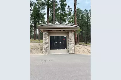 3145 Promise Point, Colorado Springs, CO 80921 - Photo 17