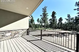 3145 Promise Pt, Colorado Springs, CO 80921 - Photo 19
