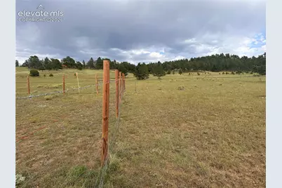406 High Pasture Road, Florissant, CO 80816 - Photo 31