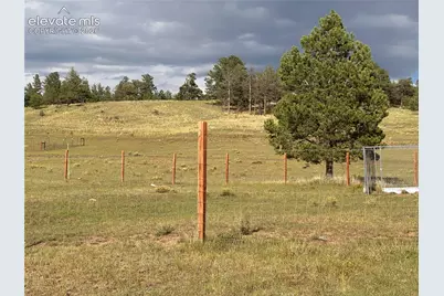 406 High Pasture Road, Florissant, CO 80816 - Photo 37
