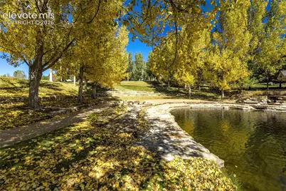 12427 Creekhurst Drive, Colorado Springs, CO 80921 - Photo 45