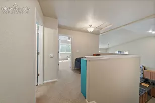 6273 Saddlebred Way, Colorado Springs, CO 80925 - Photo 19