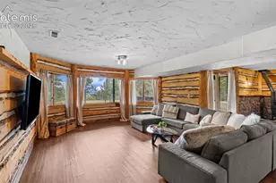 358 Creek Side Dr, Woodland Park, CO 80863 - Photo 25