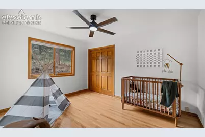 358 Creek Side Drive, Woodland Park, CO 80863 - Photo 21