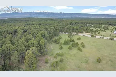 3930 Serenity Place, Colorado Springs, CO 80908 - Photo 7
