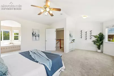459 Assay Court, Colorado Springs, CO 80905 - Photo 19