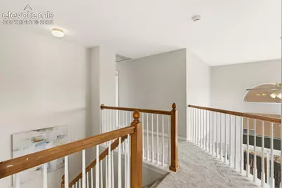 459 Assay Court, Colorado Springs, CO 80905 - Photo 17