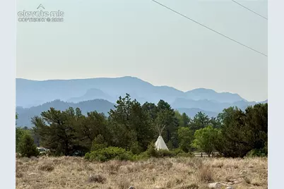 10795 County Road 197A #127, Nathrop, CO 81236 - Photo 11