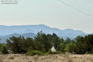 10795 Co Rd 197A, Nathrop, CO 81236 - Photo 11