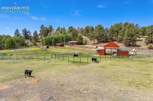 242 Poplar Ln, Guffey, CO 80820 - Photo 13